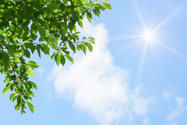 夏の空模様